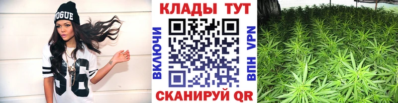 Купить наркотики сайты Лесной A-PVP  Галлюциногенные грибы  МЕТАДОН  Меф 