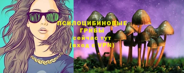 МДМА Арсеньев