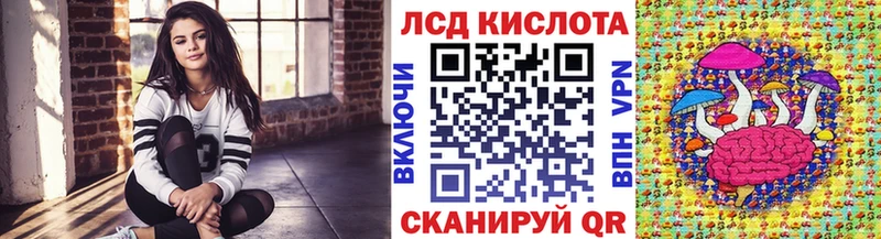 купить   Лесной  Марки 25I-NBOMe 1500мкг 