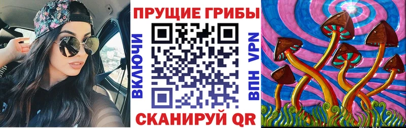 наркотики  Лесной  Псилоцибиновые грибы мухоморы 